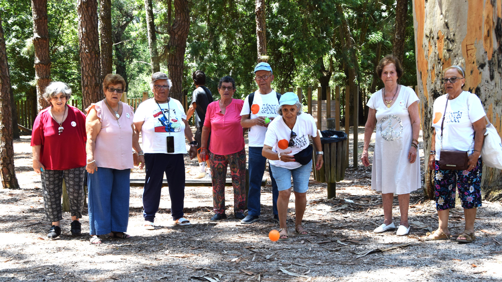 Alegria de Viver - O que fazemos - Galeria