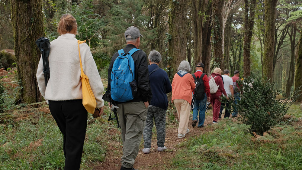 Alegria de Viver - O que fazemos - Galeria