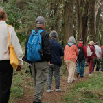 Alegria de Viver - O que fazemos - Galeria