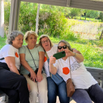 Alegria de Viver - O que fazemos - Galeria