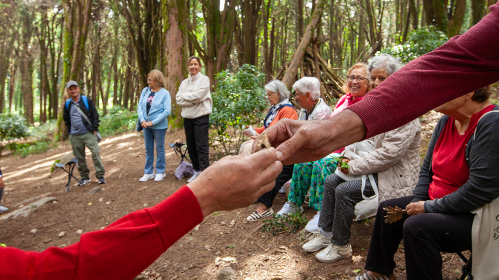 Alegria de Viver - O que fazemos - Galeria