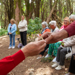 Alegria de Viver - O que fazemos - Galeria