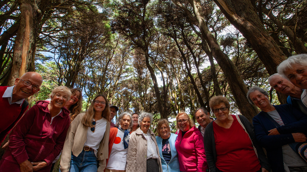 Alegria de Viver - O que fazemos - Galeria