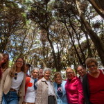 Alegria de Viver - O que fazemos - Galeria