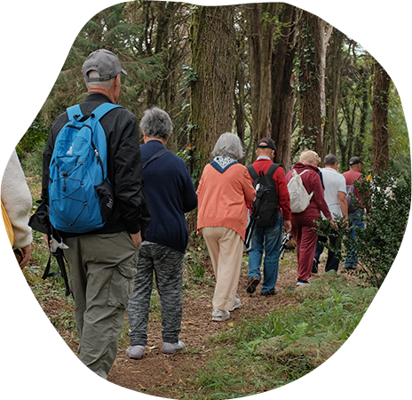 Alegria de Viver - O que fazemos - A Caminhada