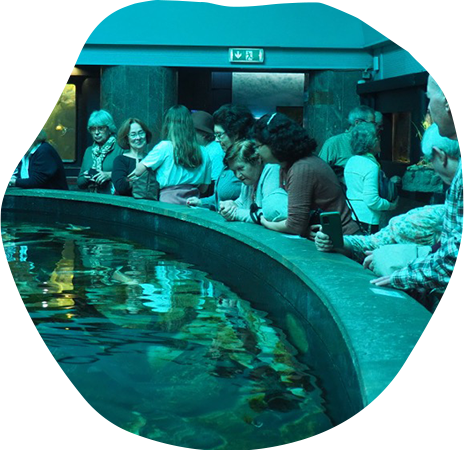 Alegria de Viver - O que fazemos - A Cultura